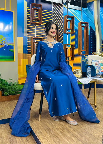 Sapphire Client Diaries