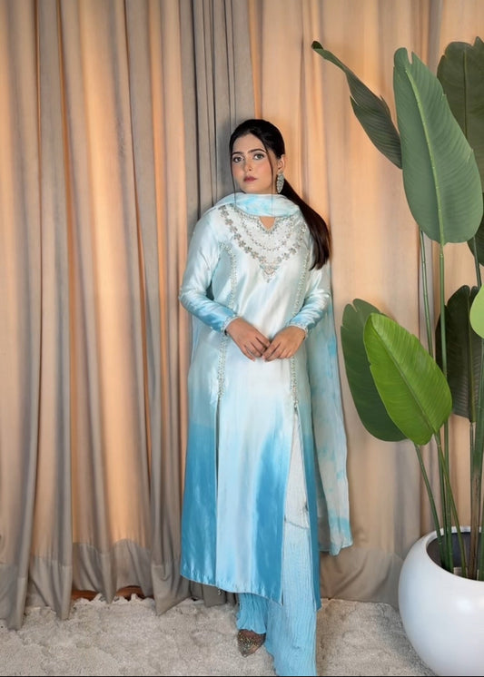 Safa Client Diaries