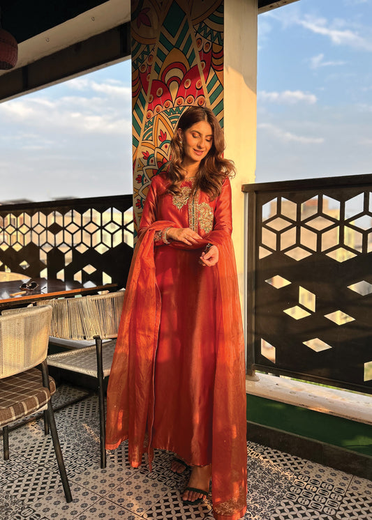 Zargul Client Diaries